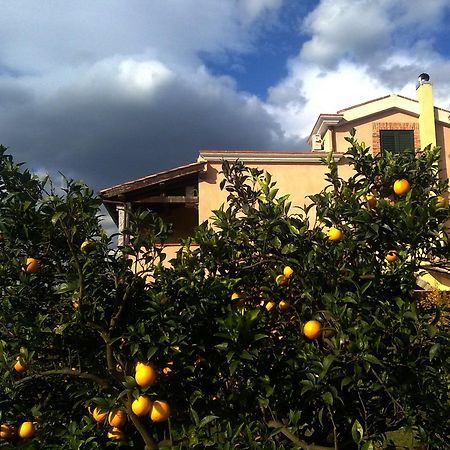 Su Canonigu Agriresort Tortolì Екстериор снимка